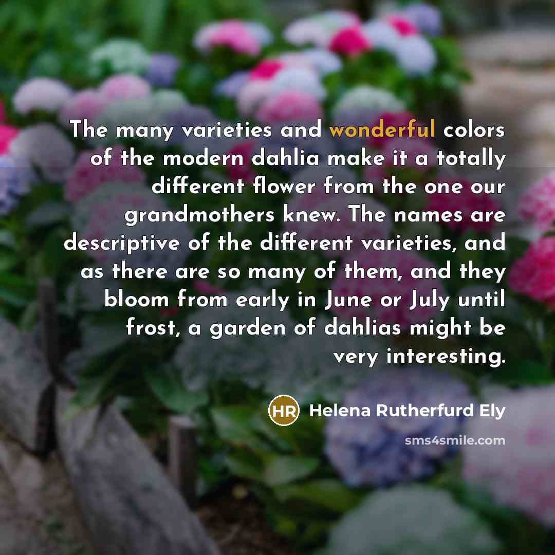 “The many varieties and wonderful colors of the modern dahlia…” quote by Helena Rutherfurd Ely
