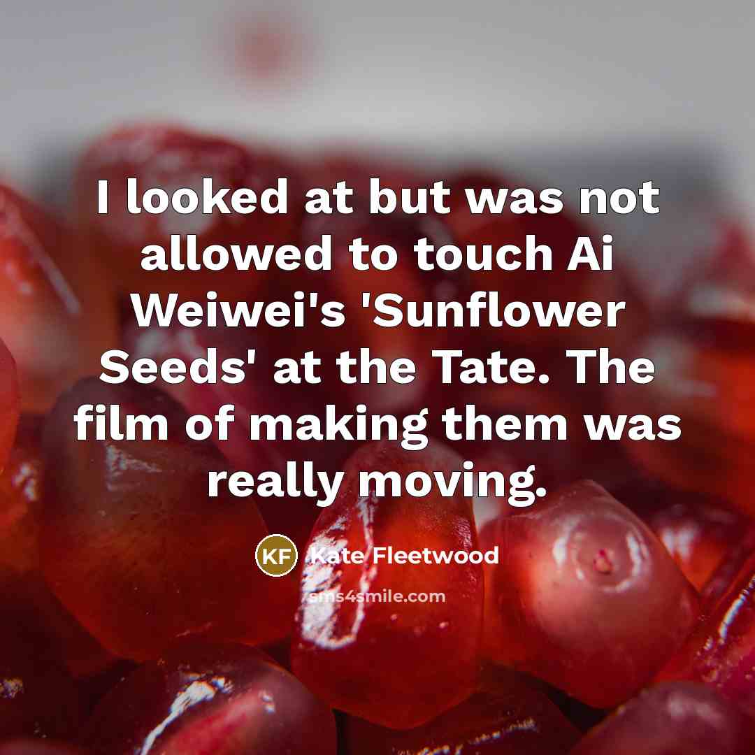 “I looked at but was not allowed to touch Ai…” quote by Kate Fleetwood