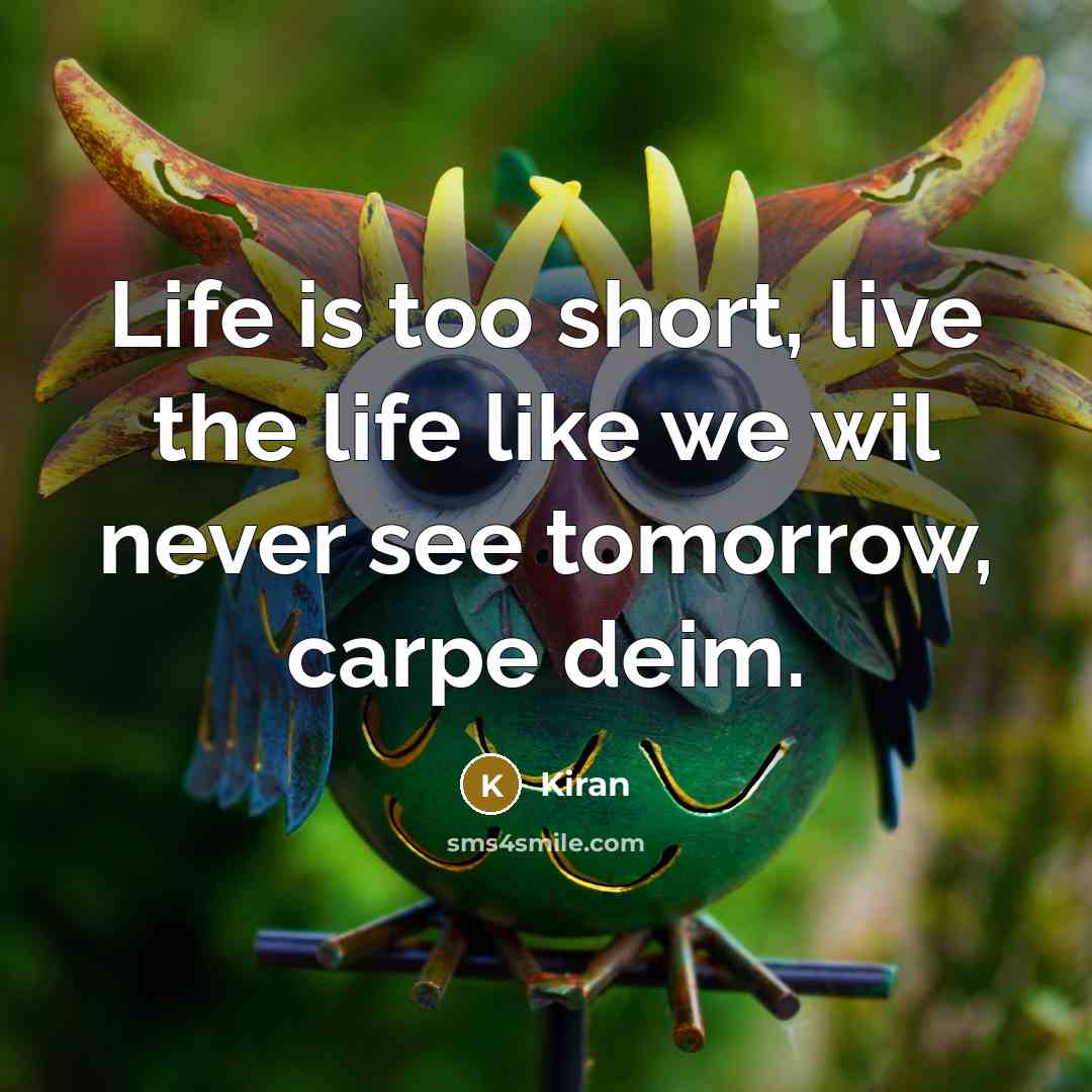 “Life is too short, live the life like we wil…” quote by Kiran