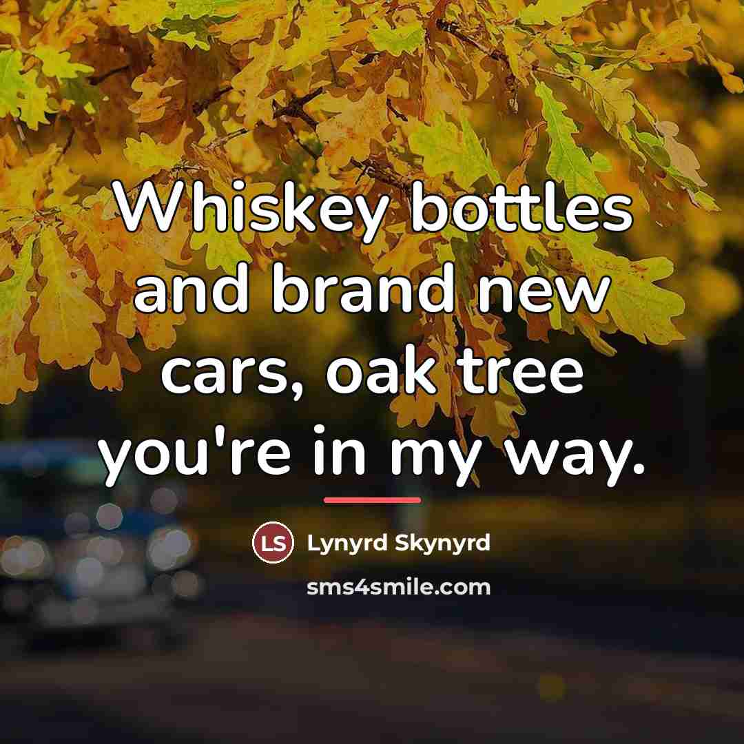 “Whiskey bottles and brand new cars, oak tree you're in…” quote by Lynyrd Skynyrd