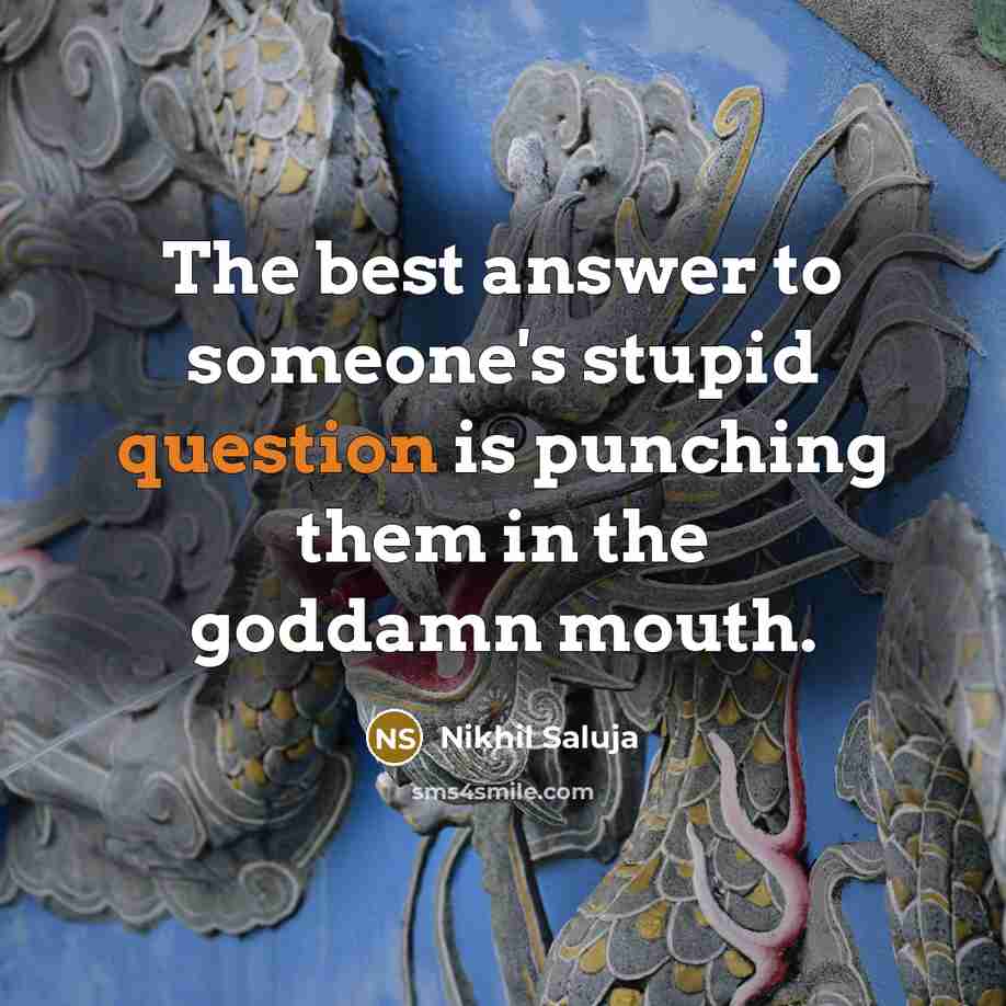 “The best answer to someone's stupid question is punching them in the goddamn mouth.” quote by Nikhil Saluja