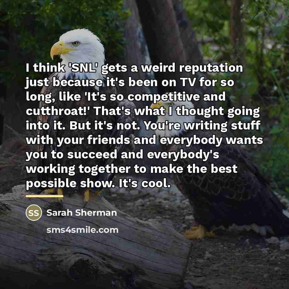 “I think 'SNL' gets a weird reputation just because it's…” quote by Sarah Sherman