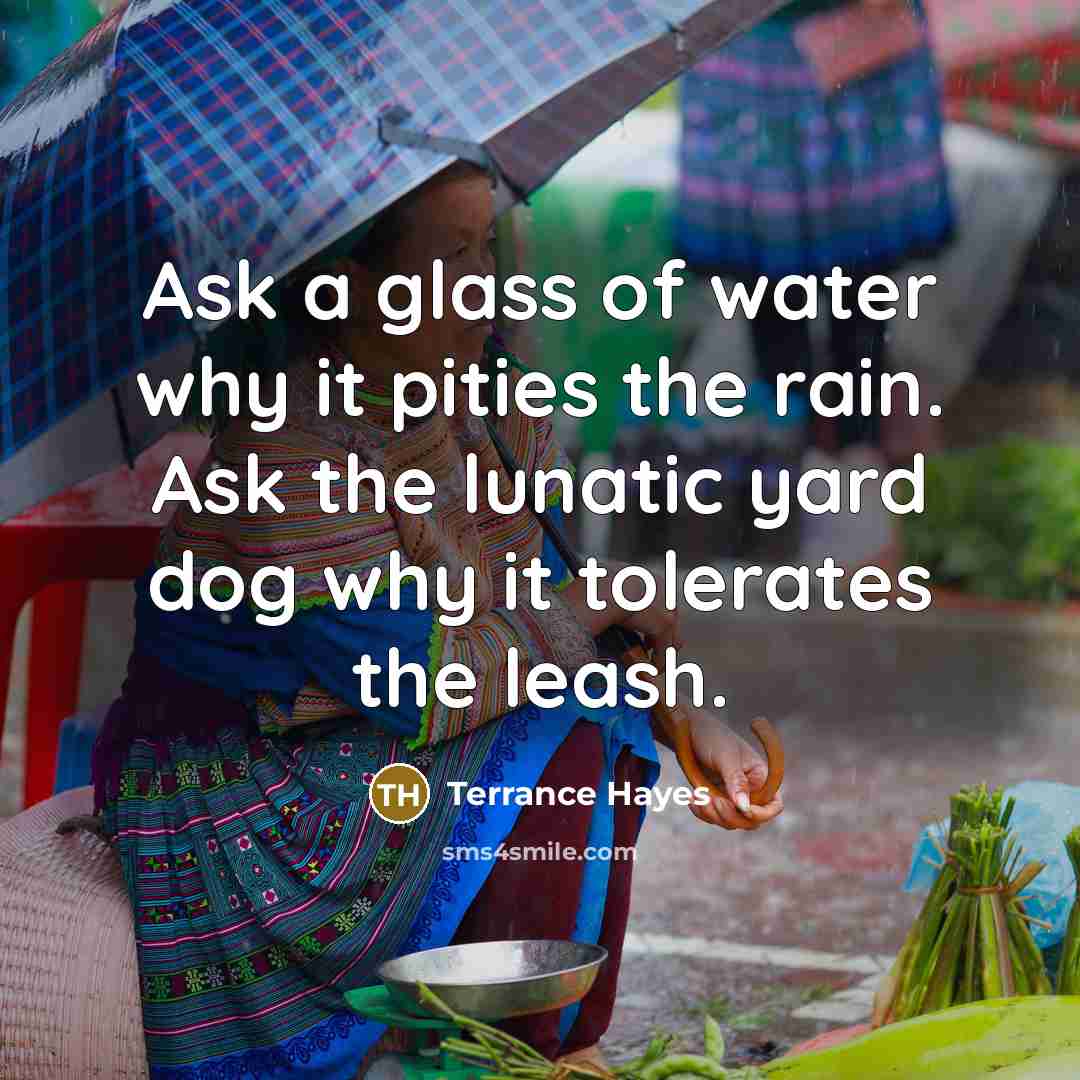 “Ask a glass of water why it pities the rain.…” quote by Terrance Hayes