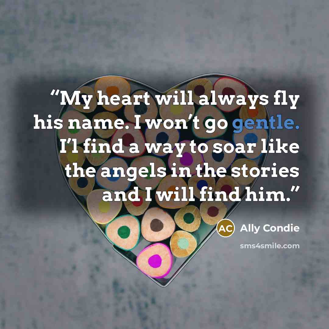 “My heart will always fly his name. I won’t go gentle. I’l find a way to soar like the angels in the stories and I will find him.” quote by Ally Condie