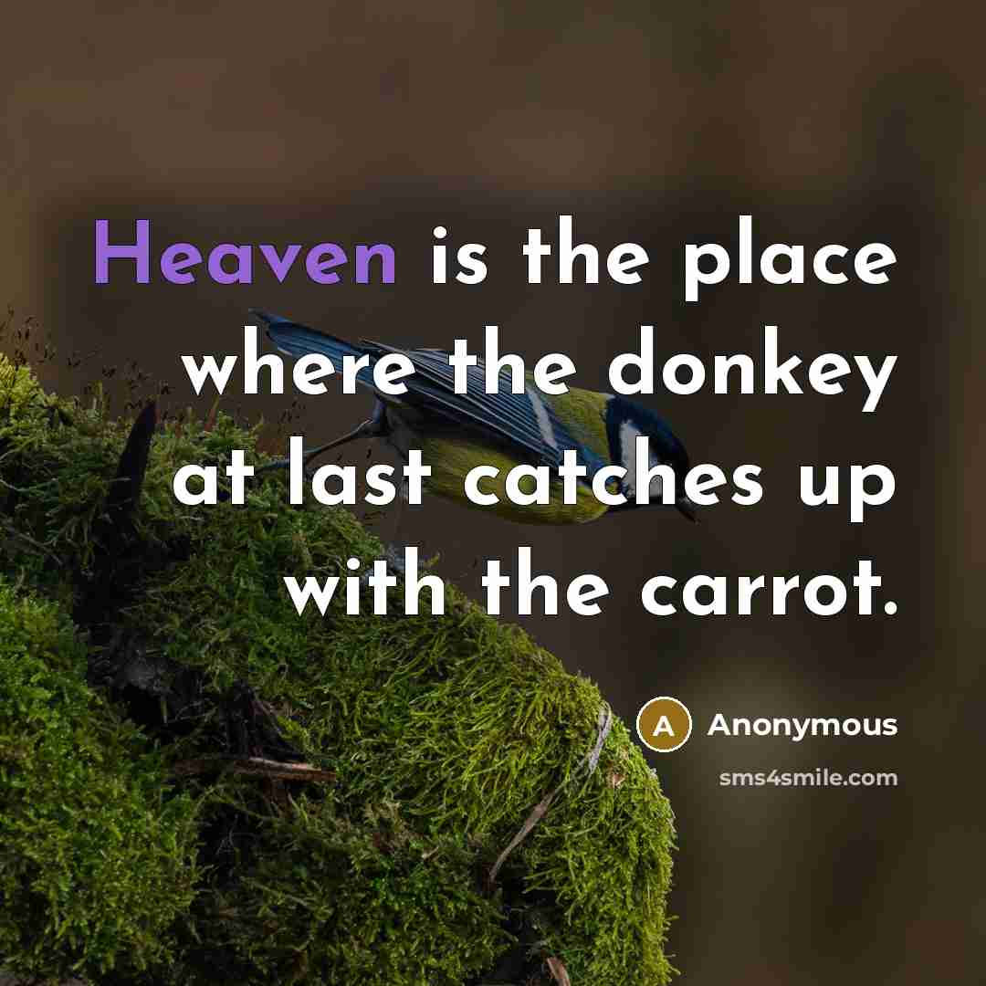 “Heaven is the place where the donkey at last catches up with the carrot.” quote by Anonymous