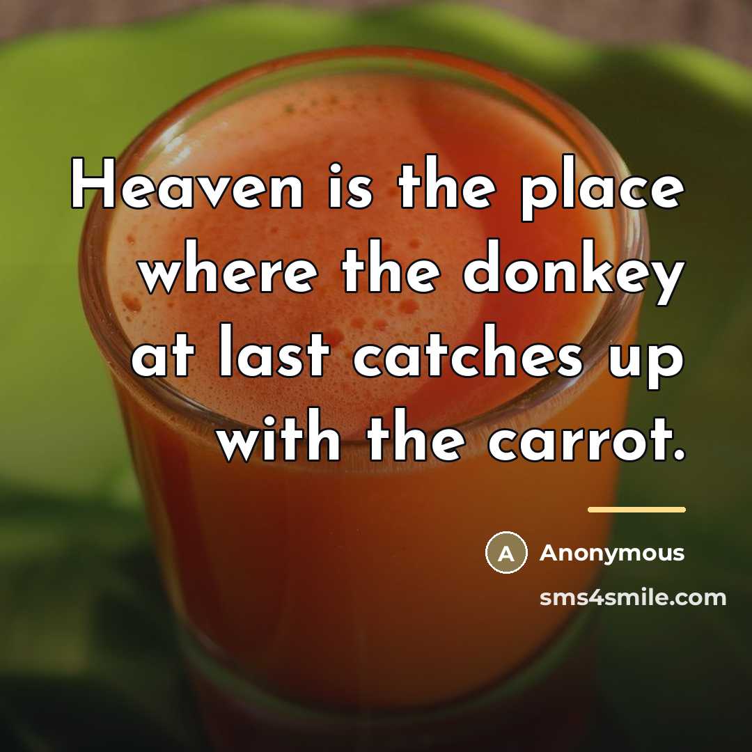 “Heaven is the place where the donkey at last catches…” quote by Anonymous