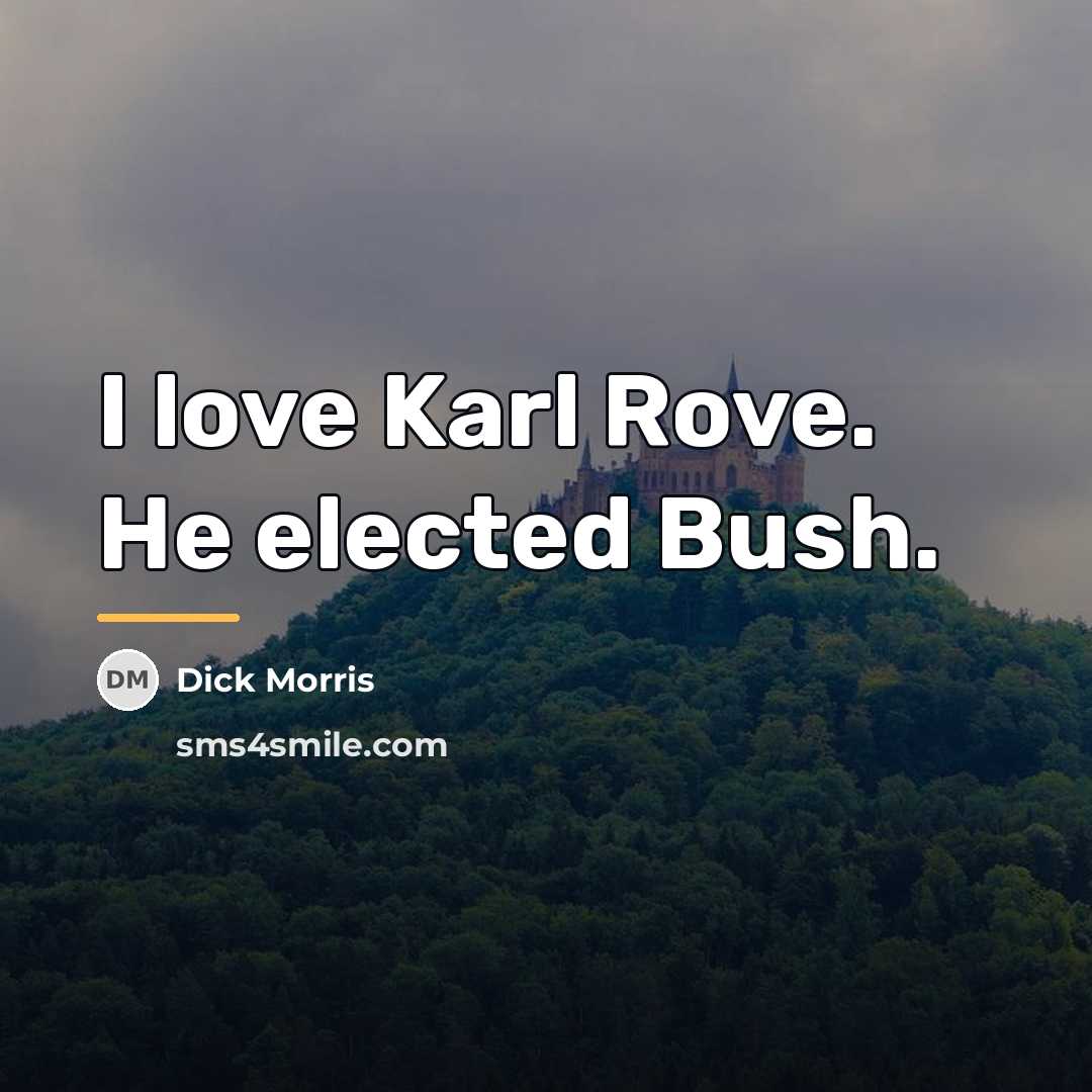 “I love Karl Rove. He elected Bush.…” quote by Dick Morris