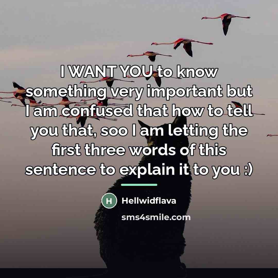 “I WANT YOU to know something very important but I…” quote by Hellwidflava