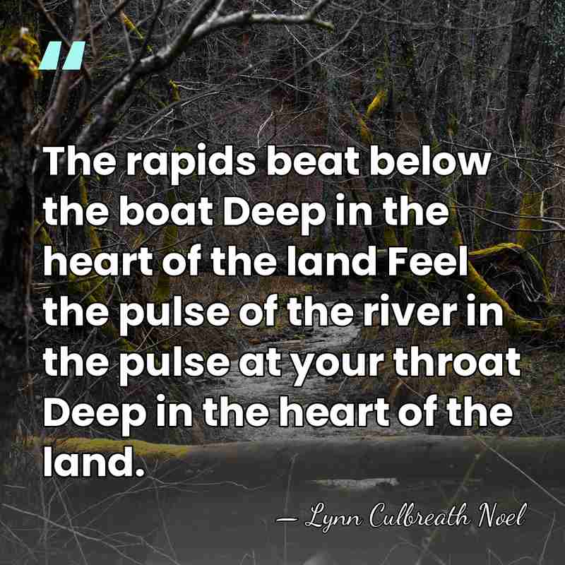 The rapids beat below the boat Deep in the heart of the&hellip; - Lynn Culbreath Noel
