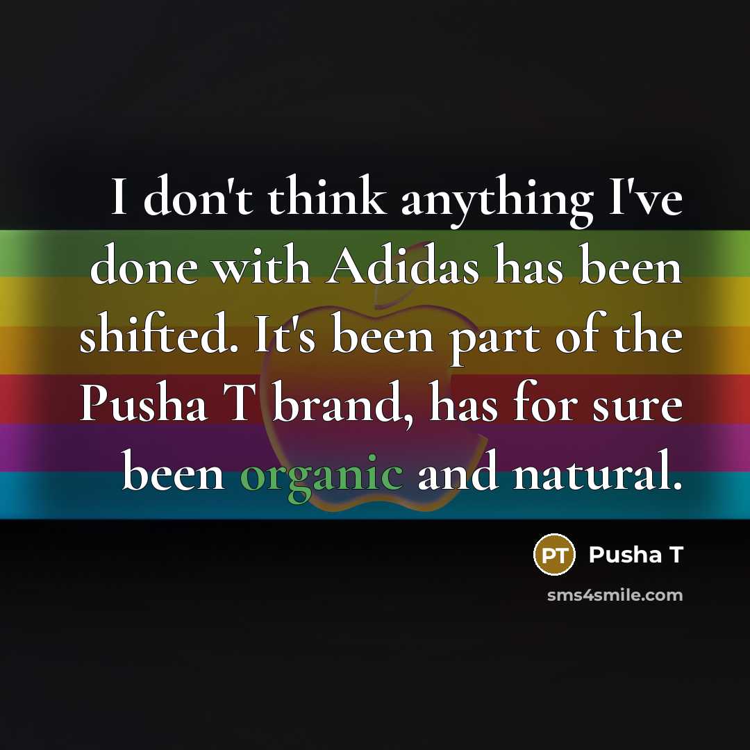 “I don't think anything I've done with Adidas has been…” quote by Pusha T