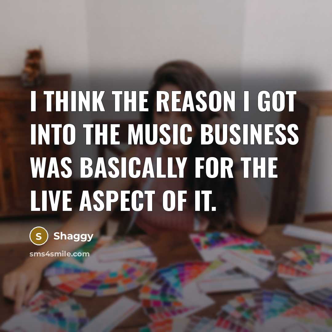 “I think the reason I got into the music business…” quote by Shaggy