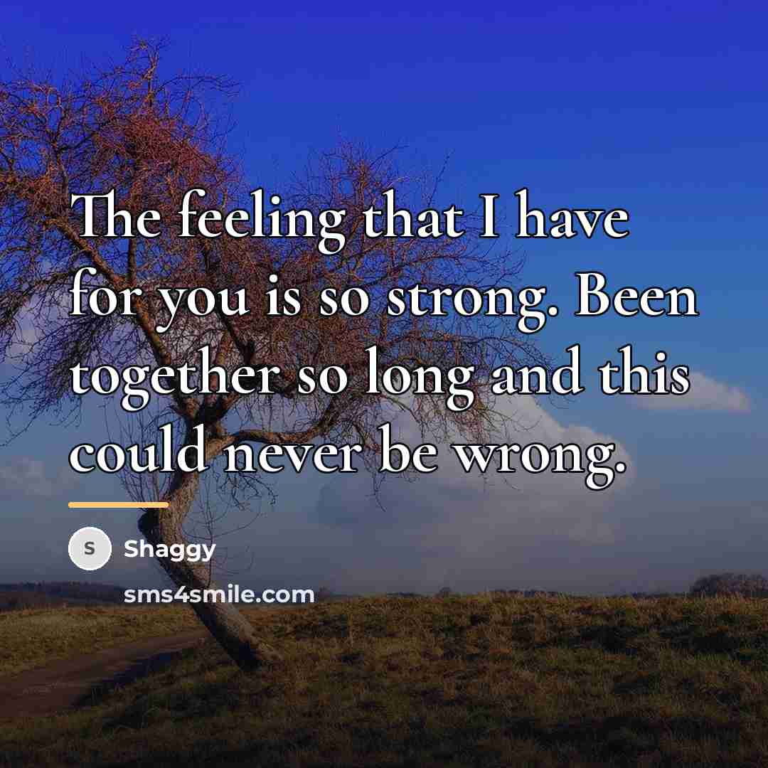 “The feeling that I have for you is so strong.…” quote by Shaggy