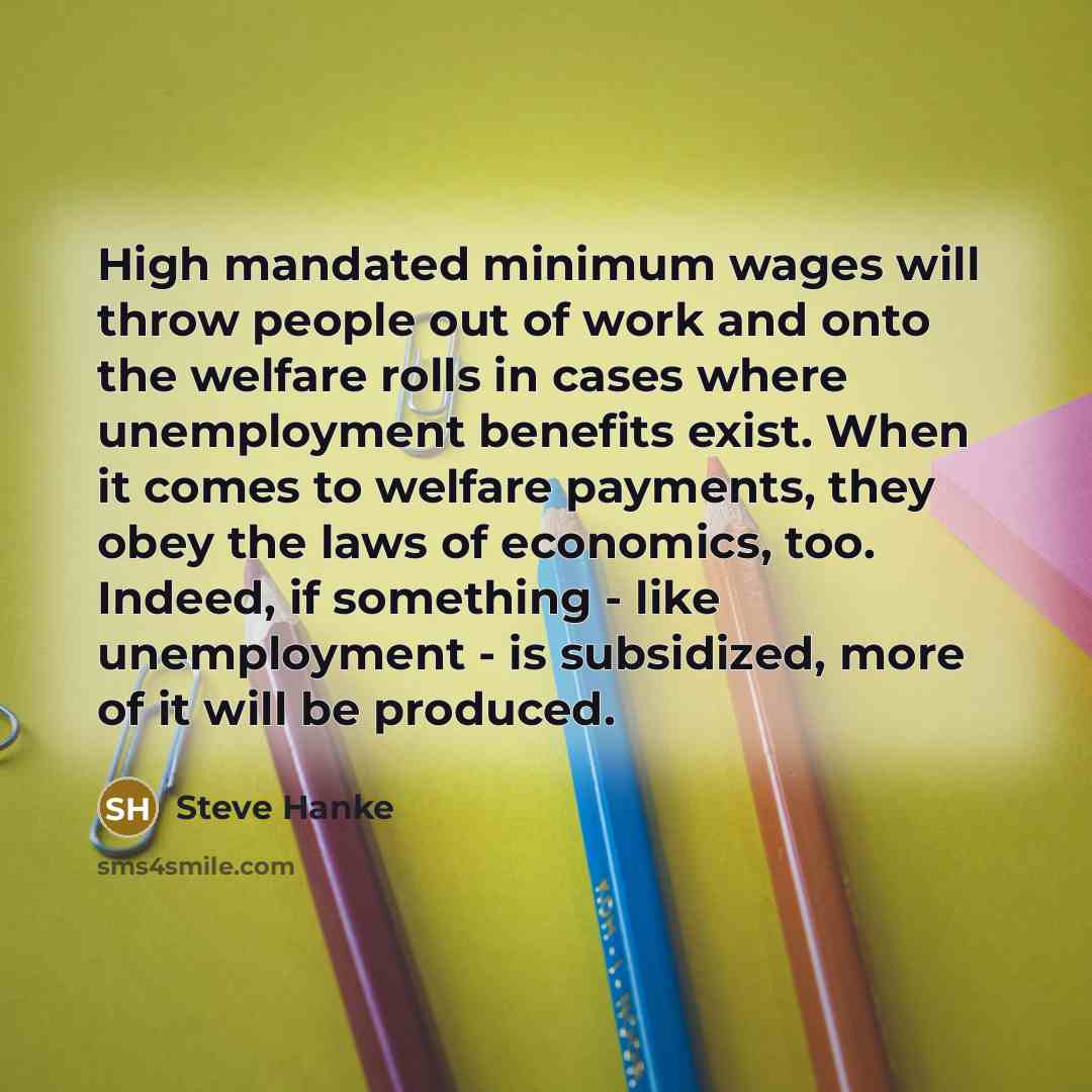 “High mandated minimum wages will throw people out of work…” quote by Steve Hanke