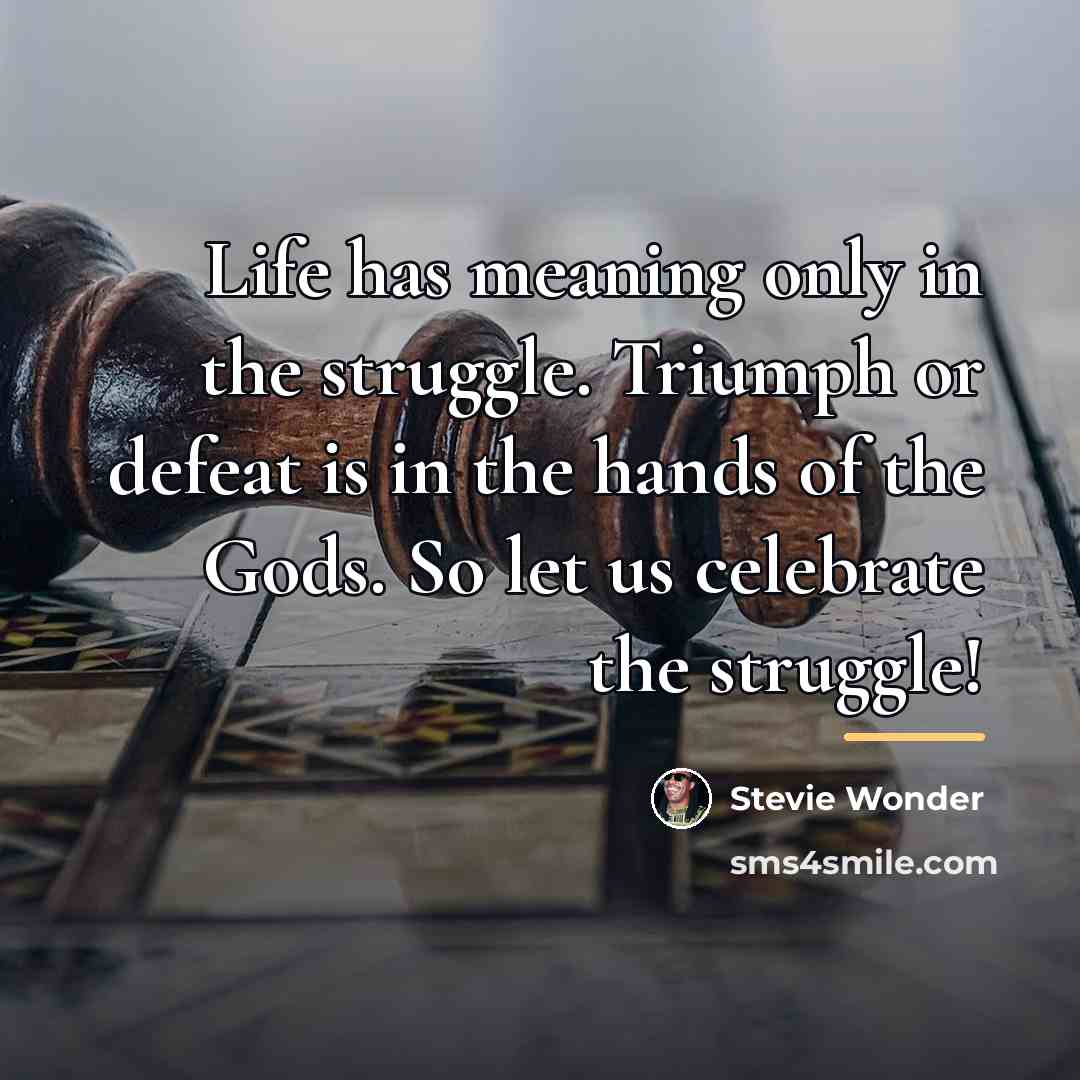 “Life has meaning only in the struggle. Triumph or defeat…” quote by Stevie Wonder