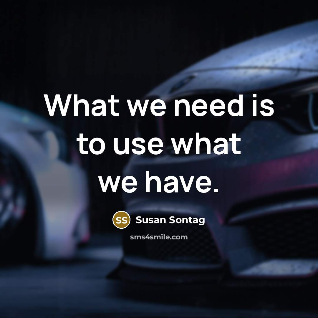 “What we need is to use what we have.…” quote by Susan Sontag