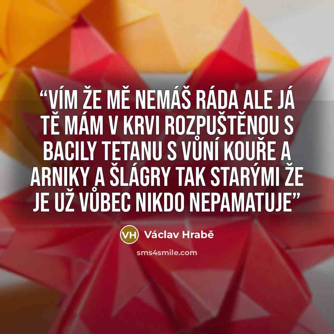 “Vím že mě nemáš ráda ale já tě mám v krvi rozpuštěnou s bacily tetanu s vůní kouře a arniky a šlágry tak starými že je už vůbec nikdo nepamatuje” quote by Václav Hrabě