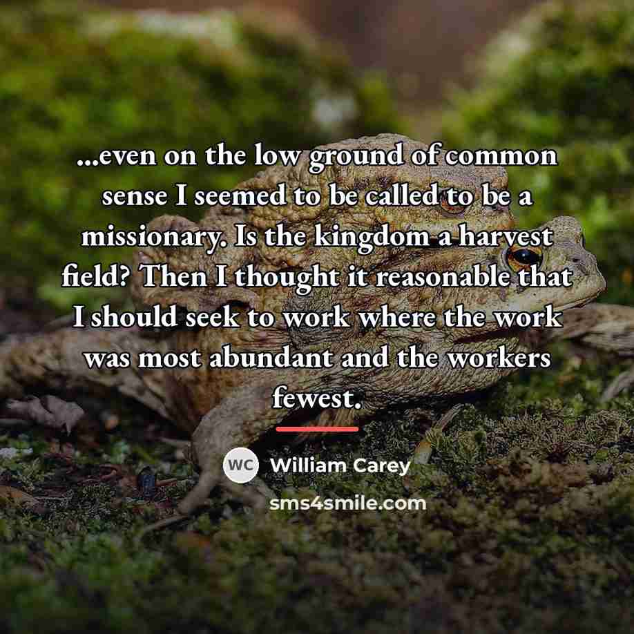 “...even on the low ground of common sense I seemed…” quote by William Carey