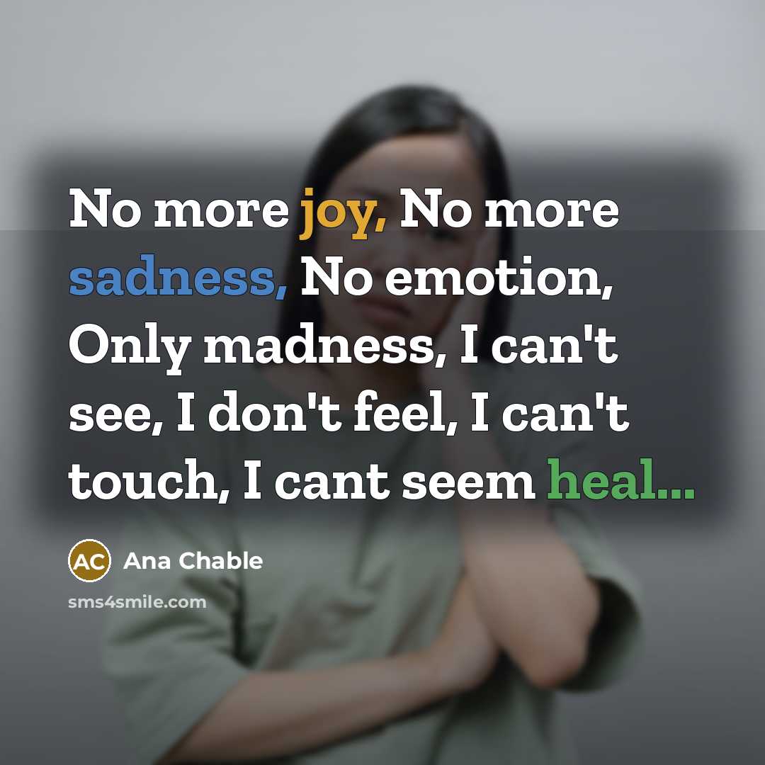 “No more joy, No more sadness, No emotion, Only madness,…” quote by Ana Chable