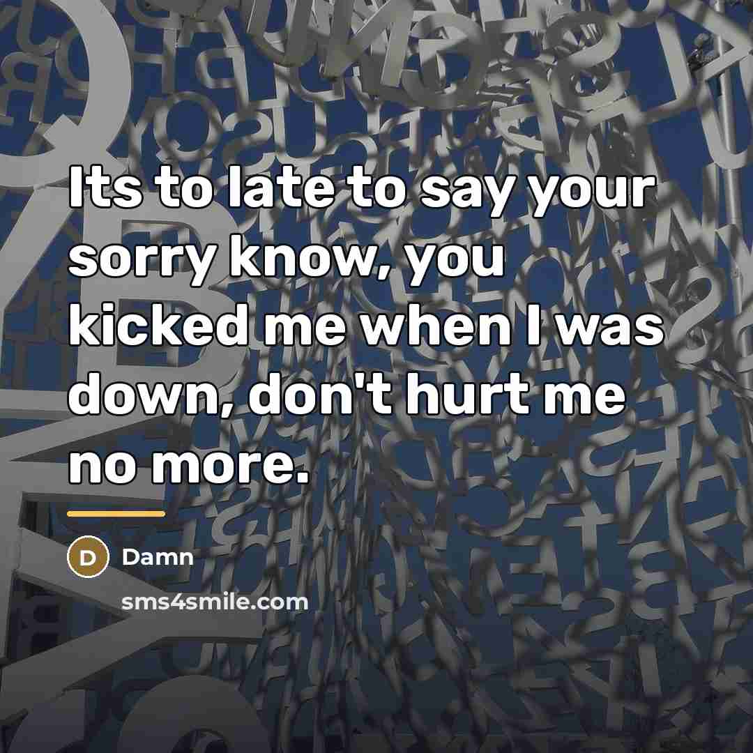 “Its to late to say your sorry know, you kicked…” quote by Damn