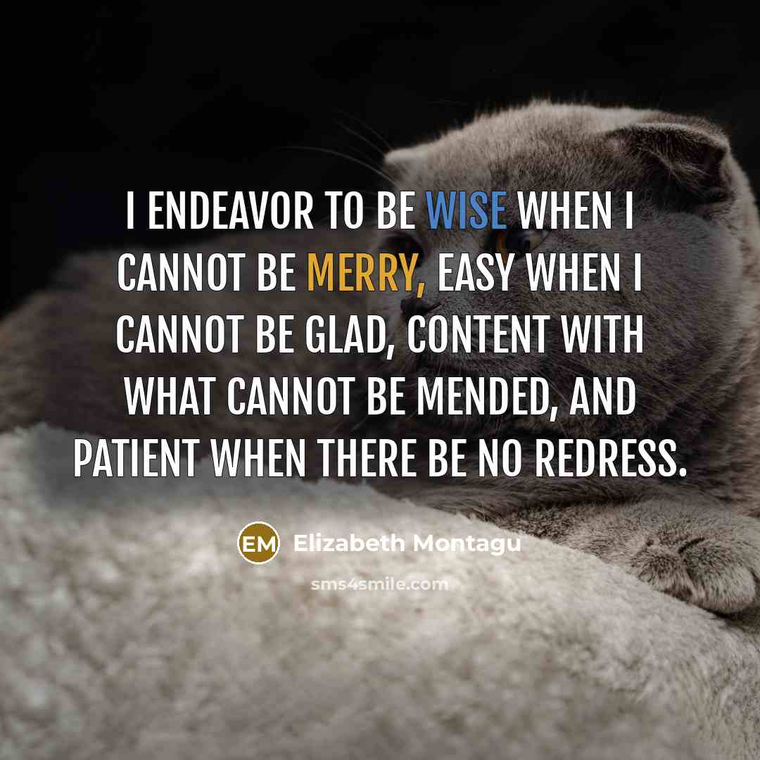 “I endeavor to be wise when I cannot be merry,…” quote by Elizabeth Montagu