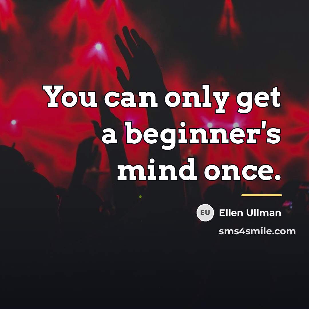 “You can only get a beginner's mind once.…” quote by Ellen Ullman