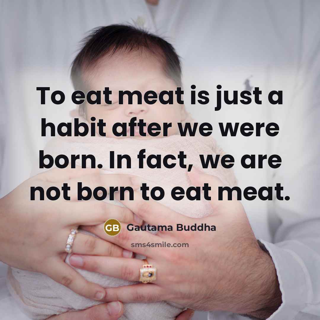 “To eat meat is just a habit after we were…” quote by Gautama Buddha