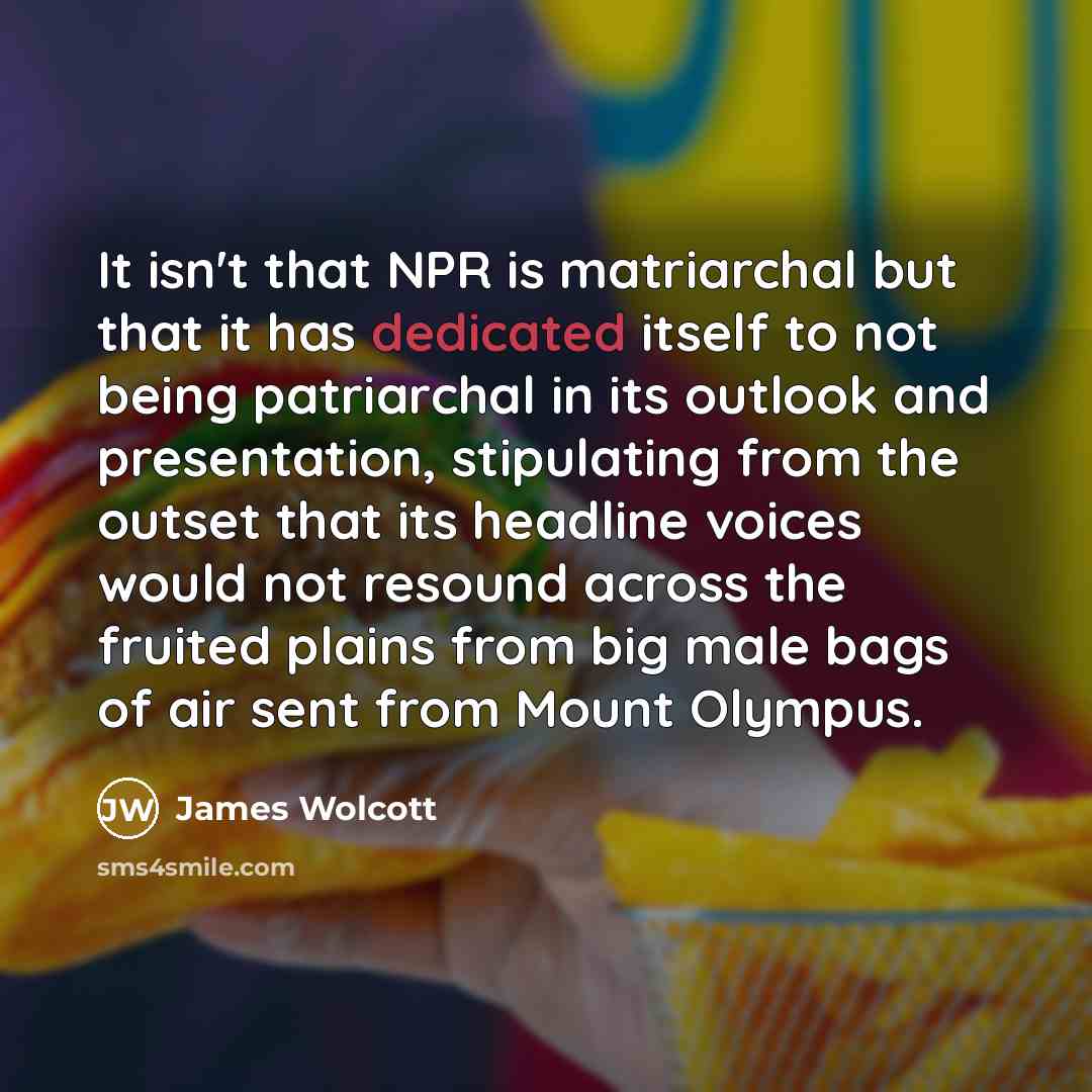 “It isn't that NPR is matriarchal but that it has…” quote by James Wolcott