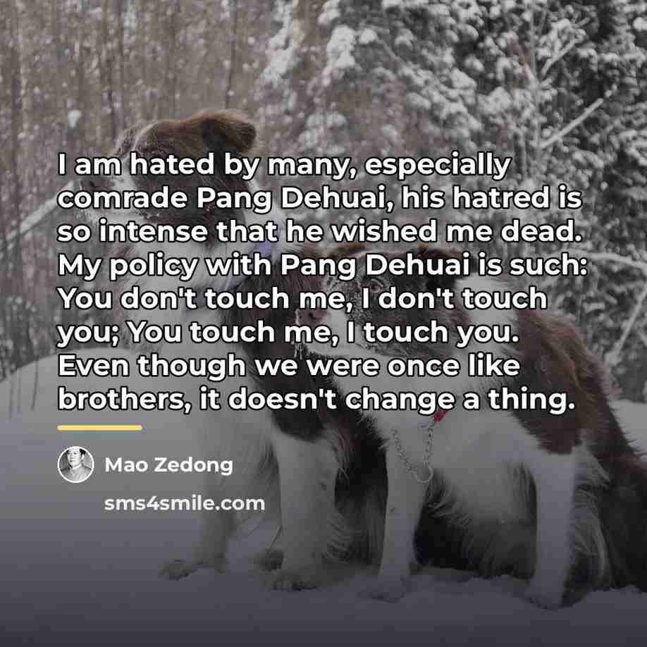 “I am hated by many, especially comrade Pang Dehuai, his…” quote by Mao Zedong