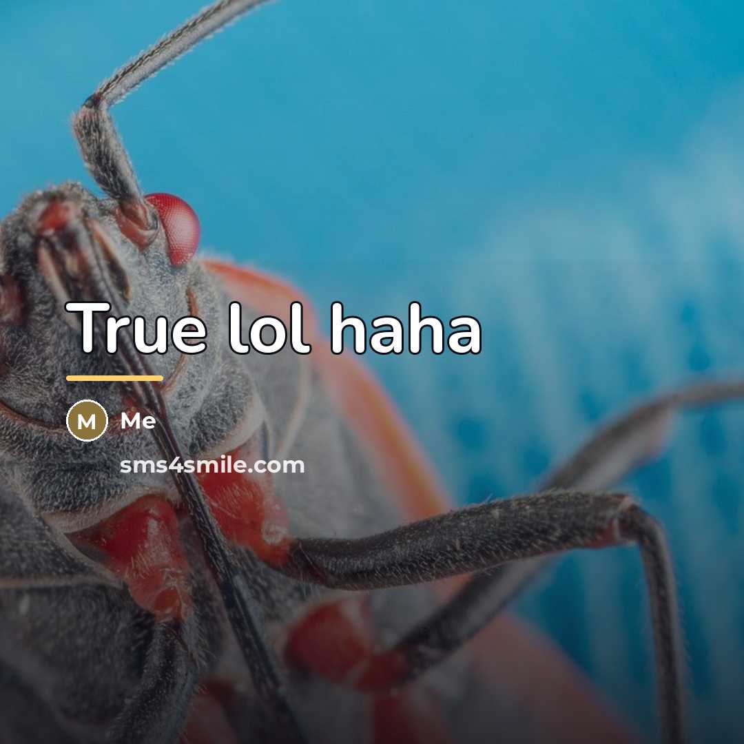 “True lol haha…” quote by Me
