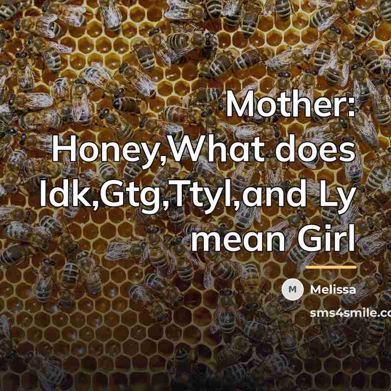 “Mother: Honey,What does Idk,Gtg,Ttyl,and Ly mean Girl…” quote by Melissa