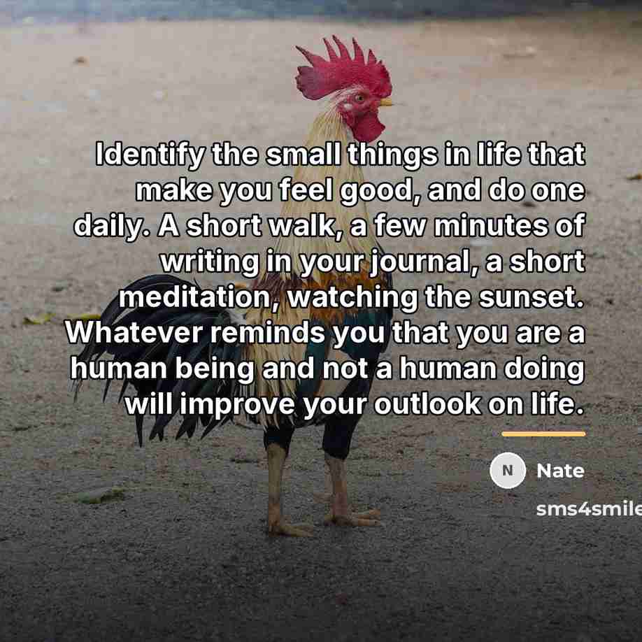 “Identify the small things in life that make you feel…” quote by Nate