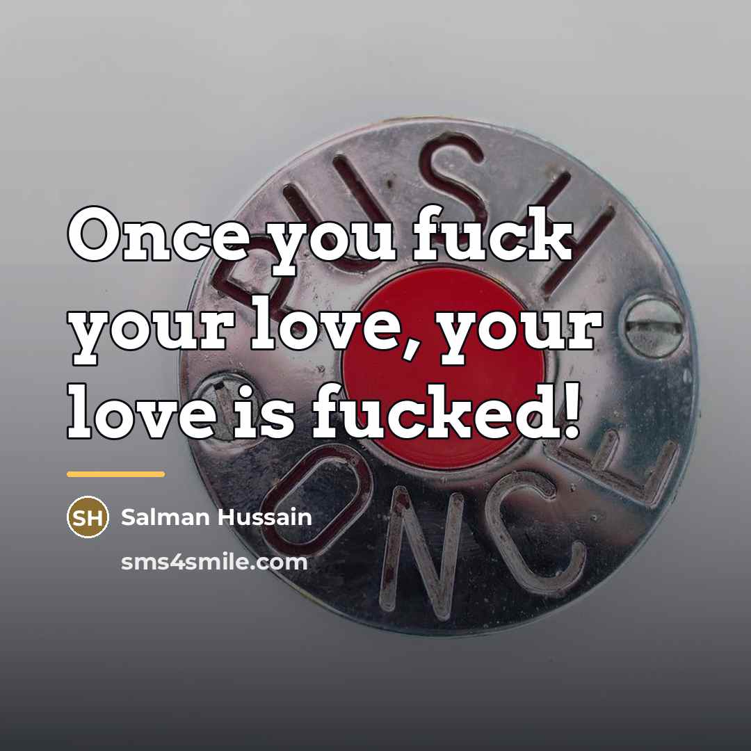 “Once you fuck your love, your love is fucked!…” quote by Salman Hussain