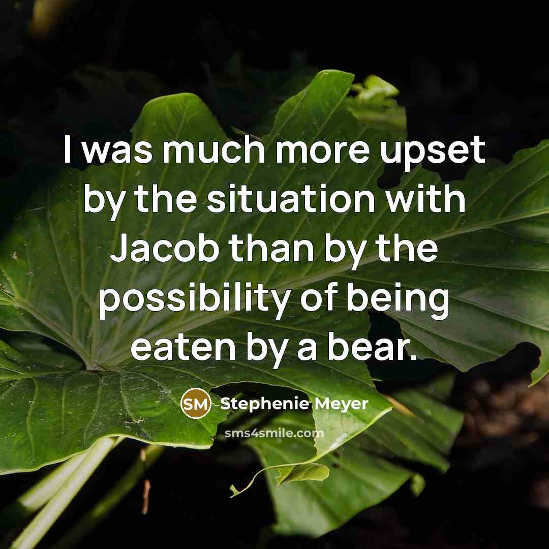 “I was much more upset by the situation with Jacob…” quote by Stephenie Meyer