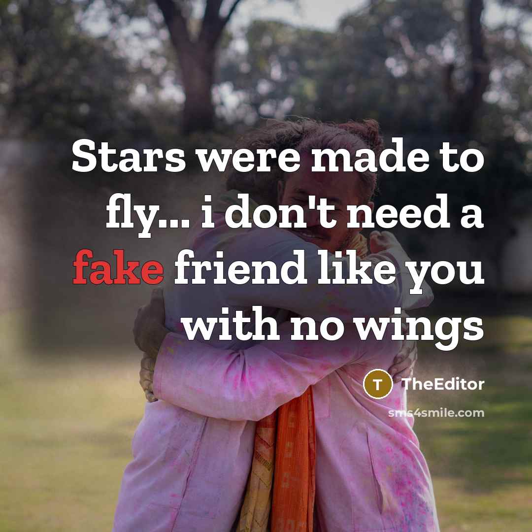 “Stars were made to fly... i don't need a fake…” quote by TheEditor