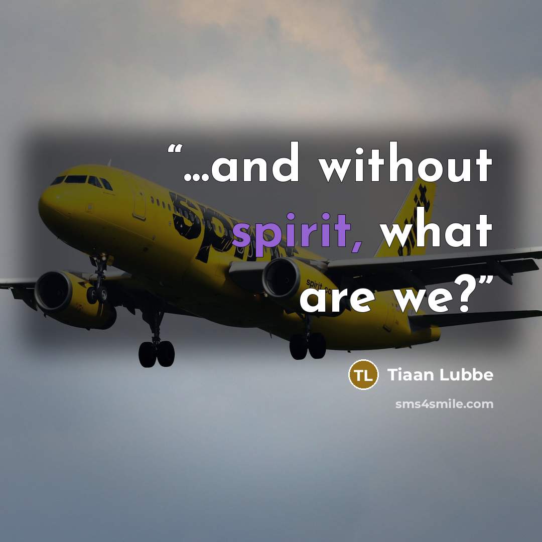 “...and without spirit, what are we?” quote by Tiaan Lubbe