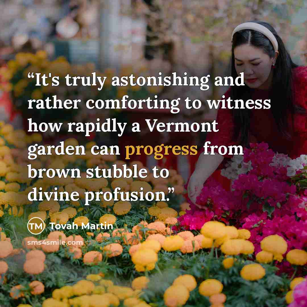 “It's truly astonishing and rather comforting to witness how rapidly a Vermont garden can progress from brown stubble to divine profusion.” quote by Tovah Martin