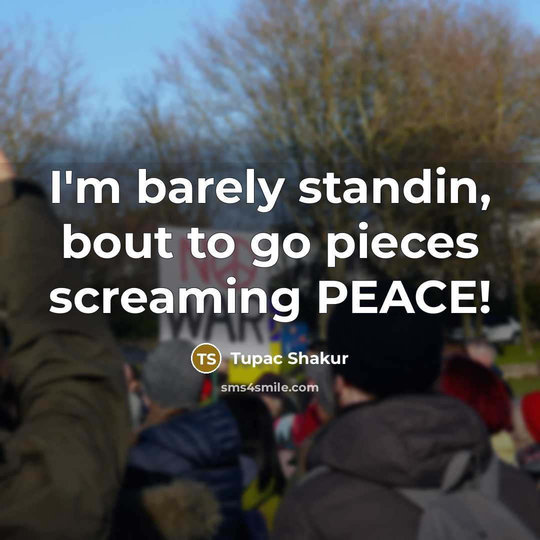 “I'm barely standin, bout to go pieces screaming PEACE!…” quote by Tupac Shakur