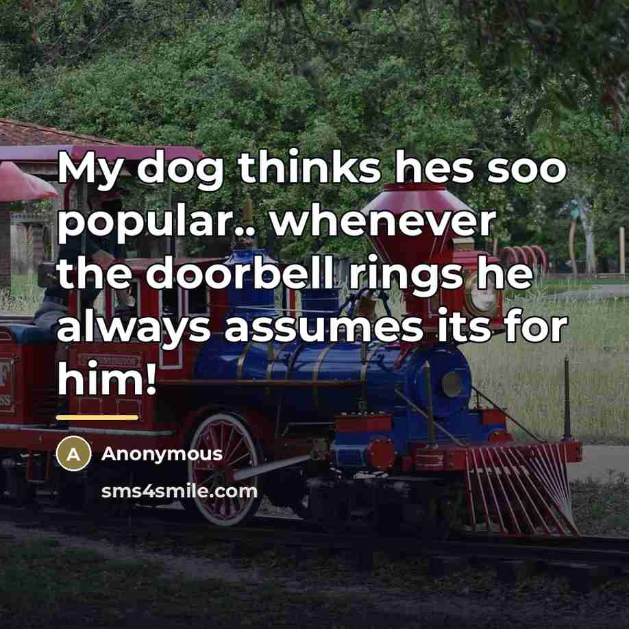 “My dog thinks hes soo popular.. whenever the doorbell rings…” quote by Anonymous
