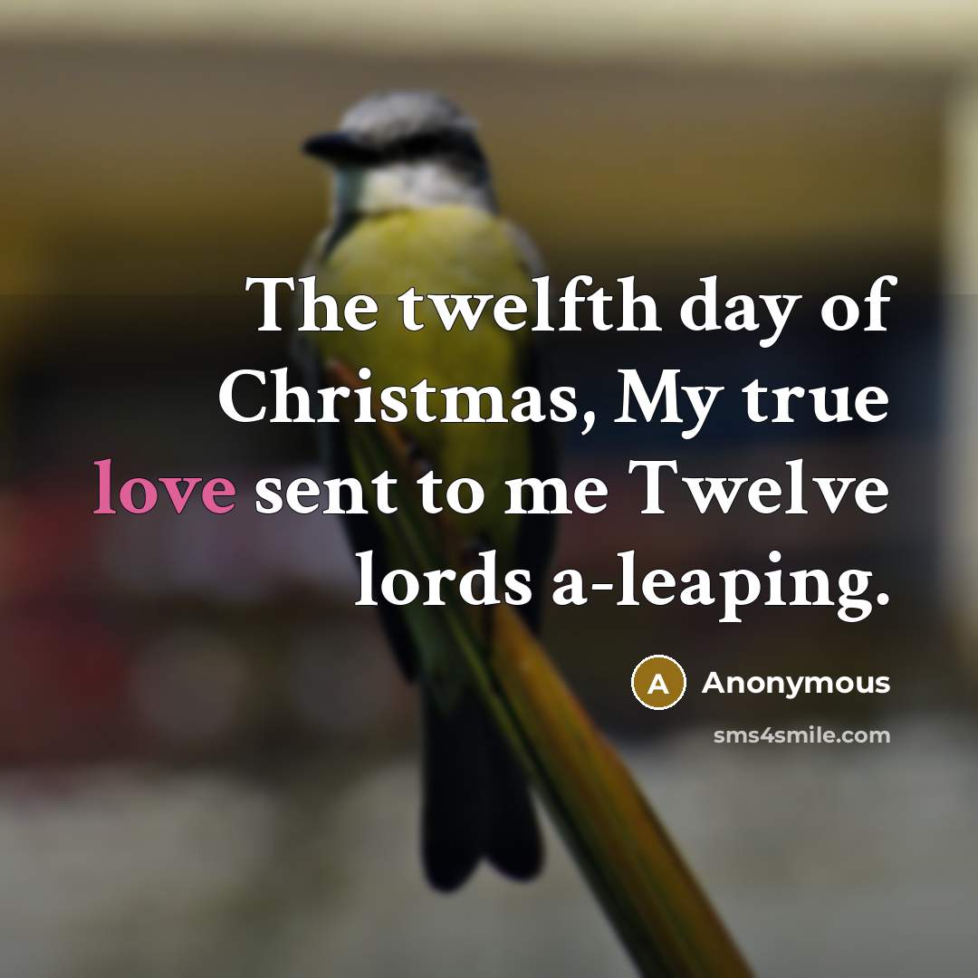 “The twelfth day of Christmas, My true love sent to…” quote by Anonymous