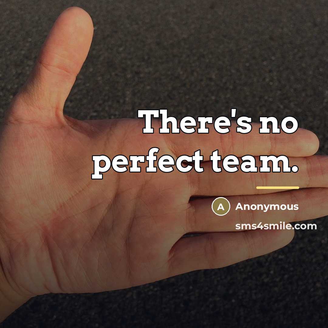 “There's no perfect team.…” quote by Anonymous