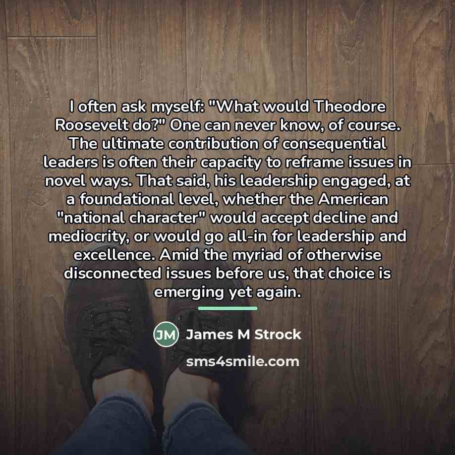 “I often ask myself: "What would Theodore Roosevelt do?" One…” quote by James M Strock