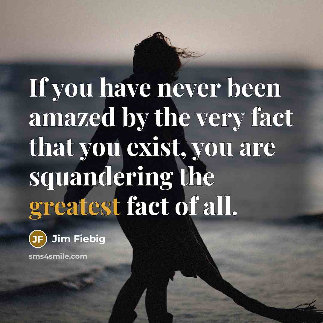 “If you have never been amazed by the very fact that you exist, you are squandering the greatest fact of all.” quote by Jim Fiebig