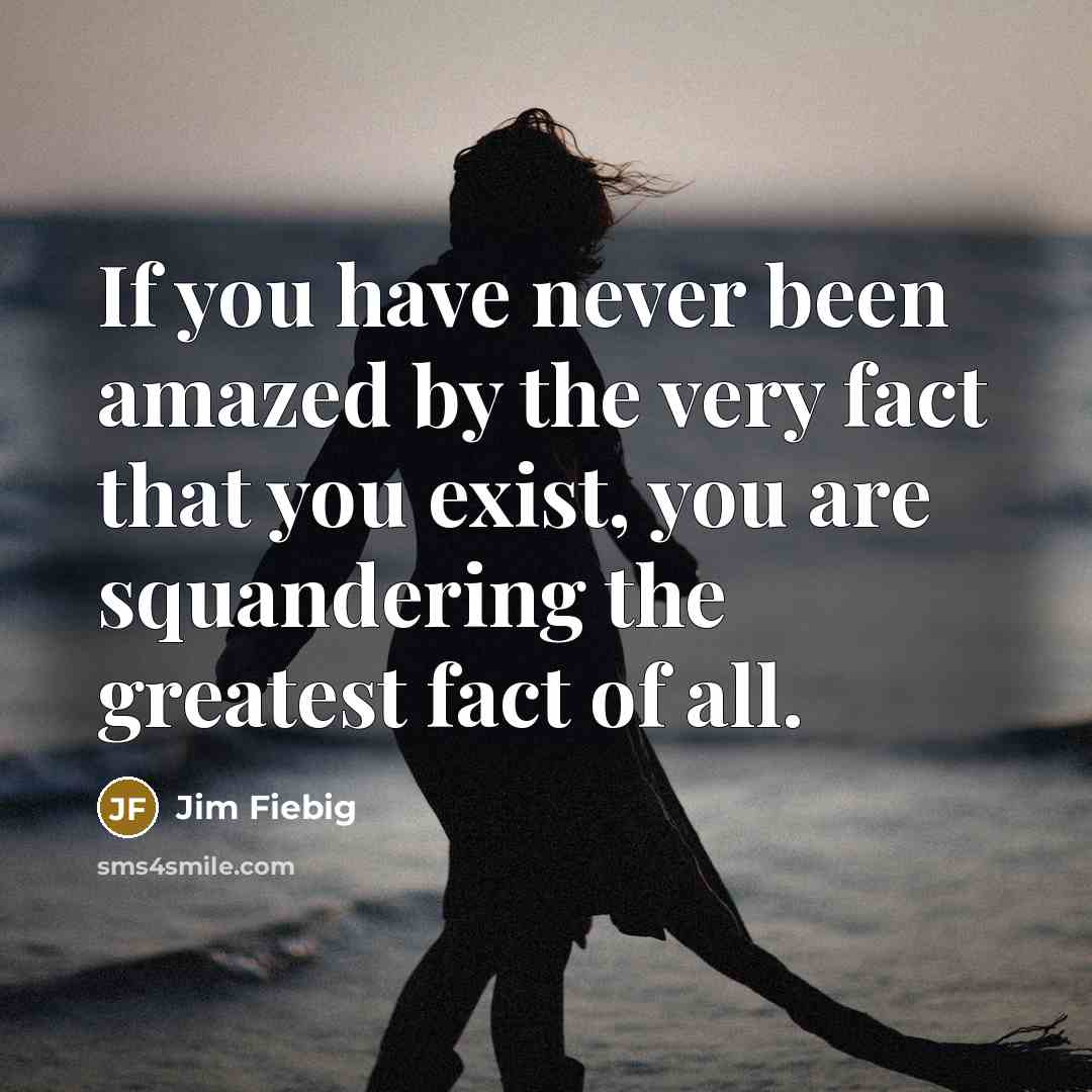 “If you have never been amazed by the very fact…” quote by Jim Fiebig