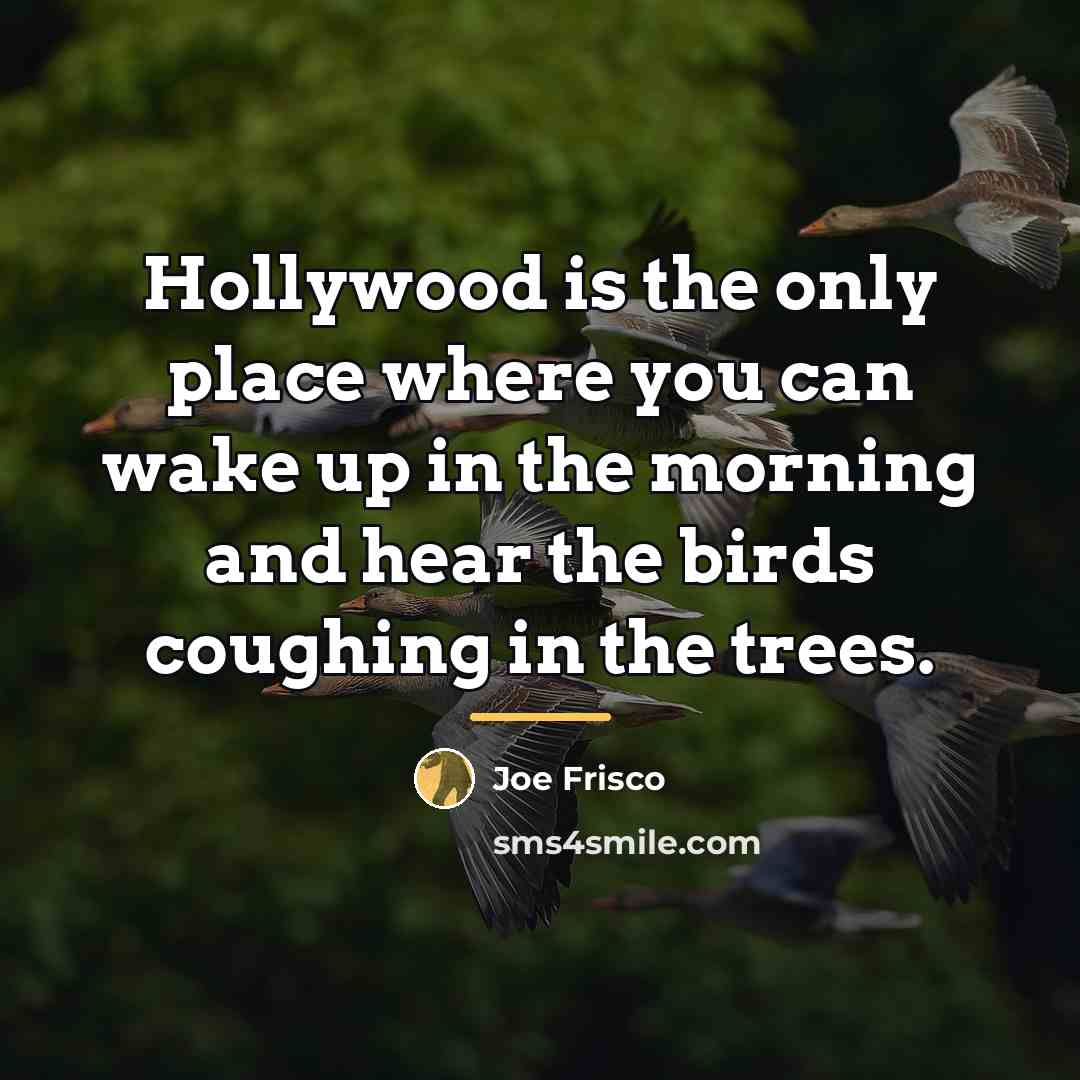 “Hollywood is the only place where you can wake up…” quote by Joe Frisco