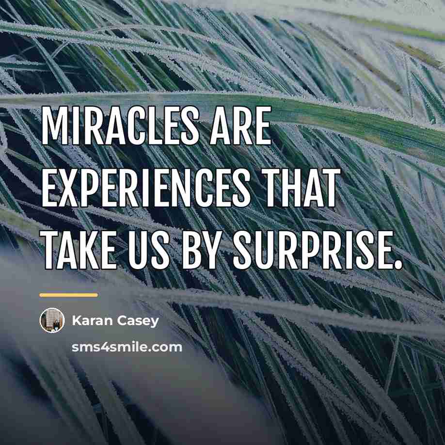 “Miracles are experiences that take us by surprise.…” quote by Karan Casey