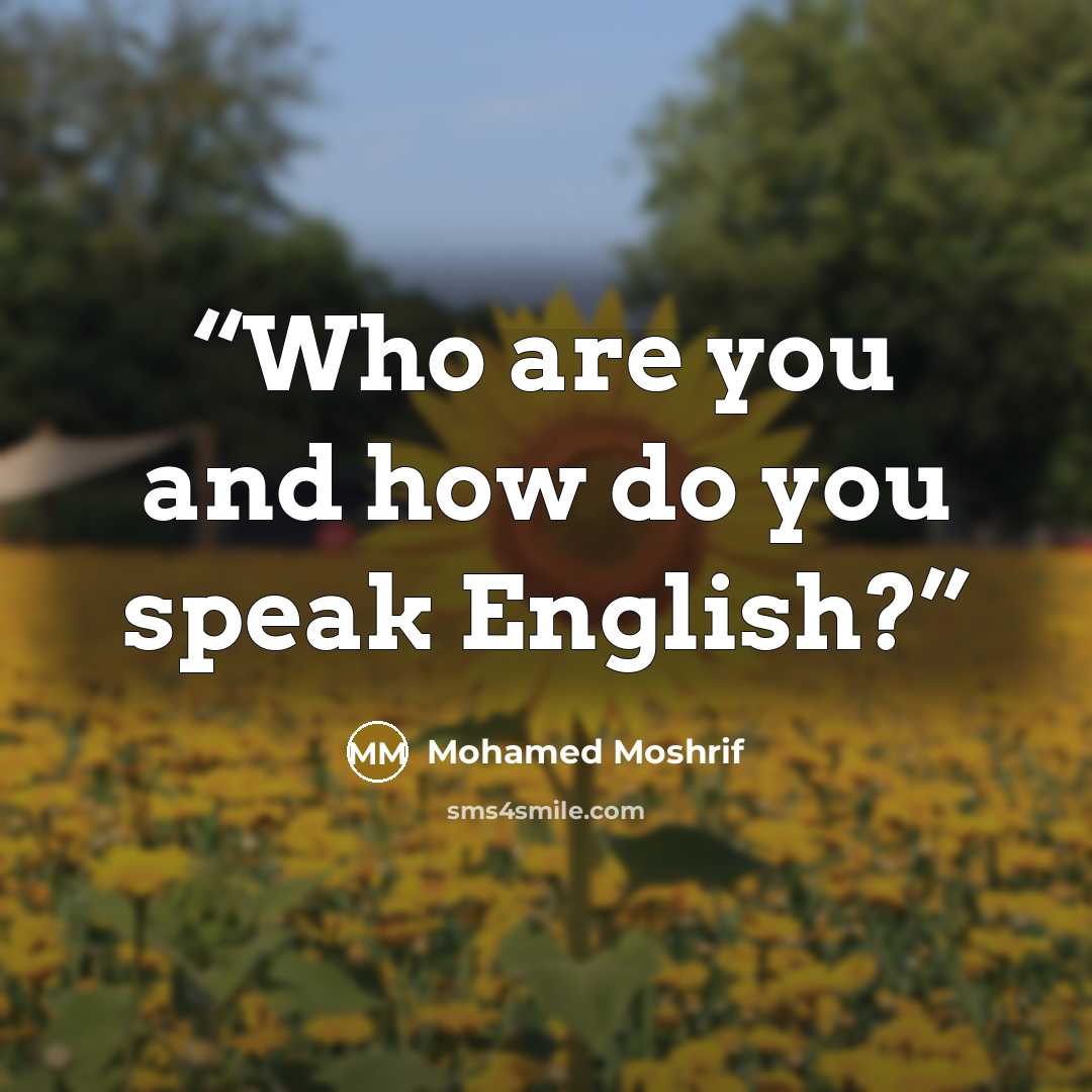 “Who are you and how do you speak English?” quote by Mohamed Moshrif