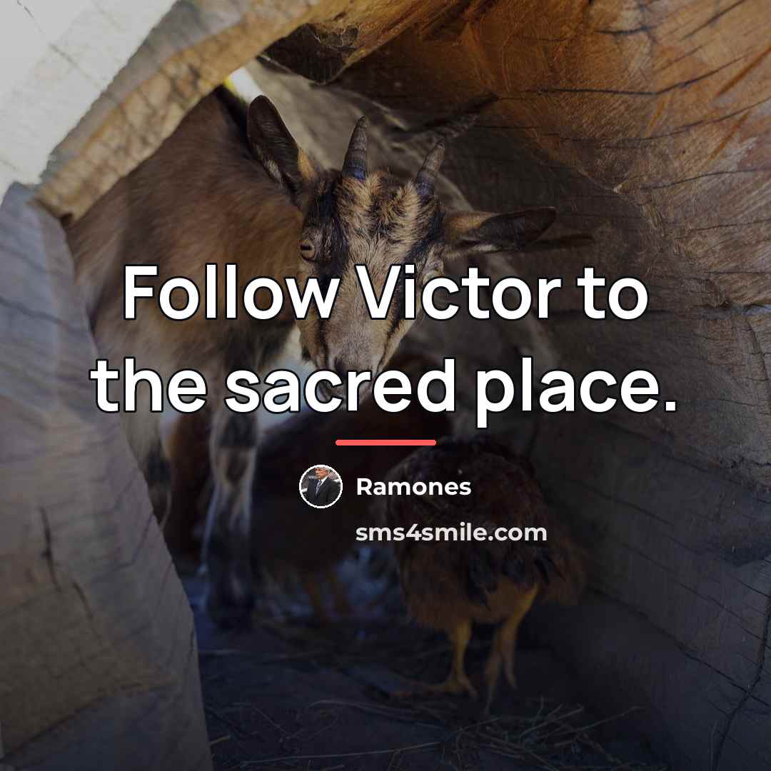 “Follow Victor to the sacred place.…” quote by Ramones