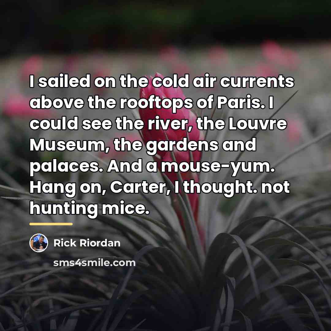 “I sailed on the cold air currents above the rooftops…” quote by Rick Riordan