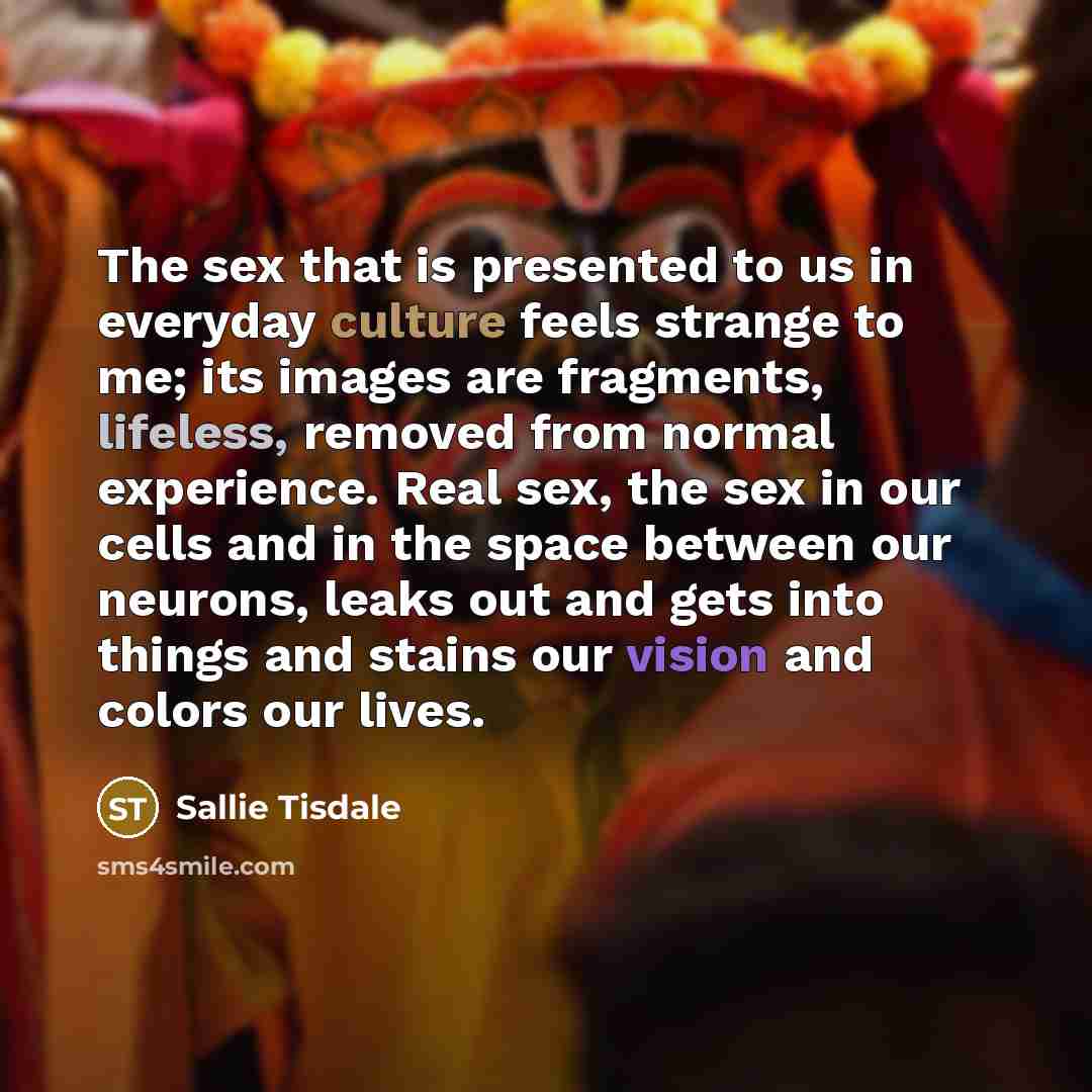 “The sex that is presented to us in everyday culture…” quote by Sallie Tisdale