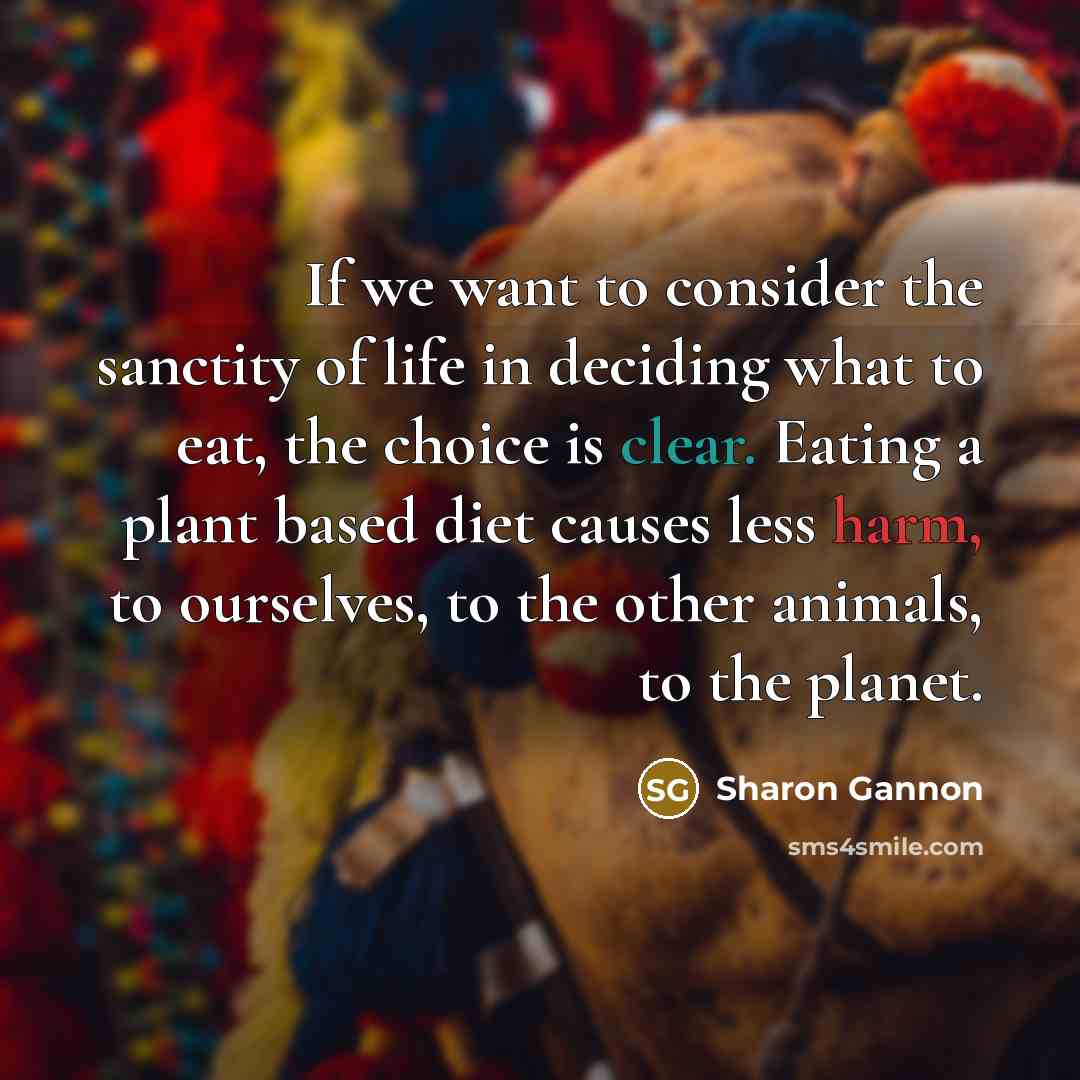 “If we want to consider the sanctity of life in…” quote by Sharon Gannon